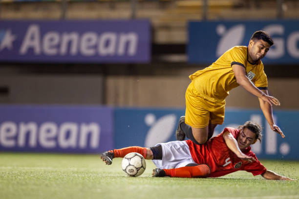 了高度评价 了高度评价