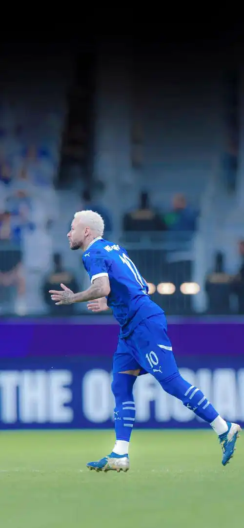 取得的成就 取得的成就