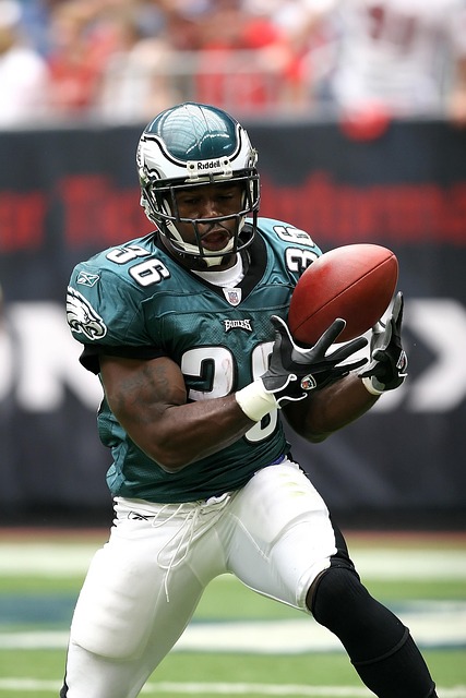 以其流畅的 以其流畅的